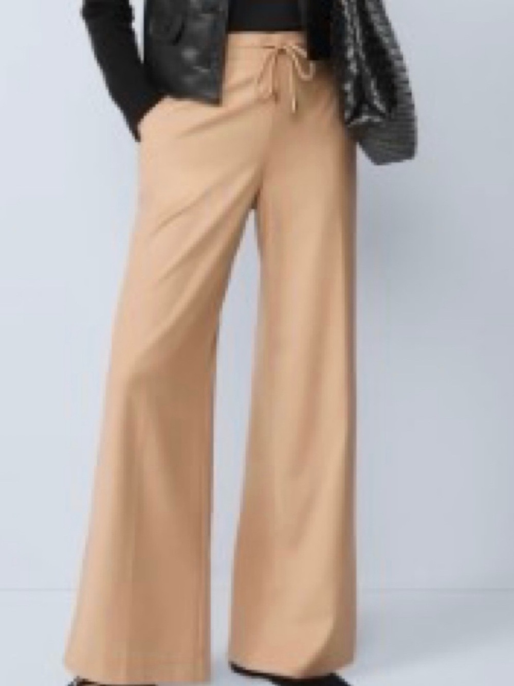 Ann Taylor Wide-Leg Pull-On Pants in Camel
